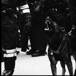 黄色大片免费看
