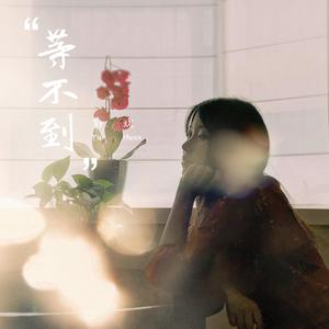 黄色大片免费看
